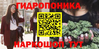 прущие грибы Конаково