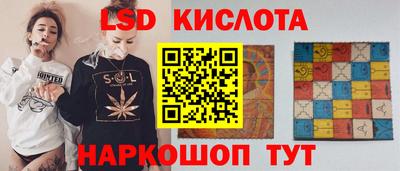 прущие грибы Конаково