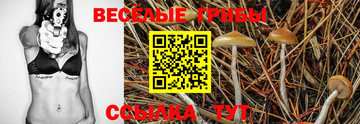 Псилоцибиновые грибы ЛСД Кашира
