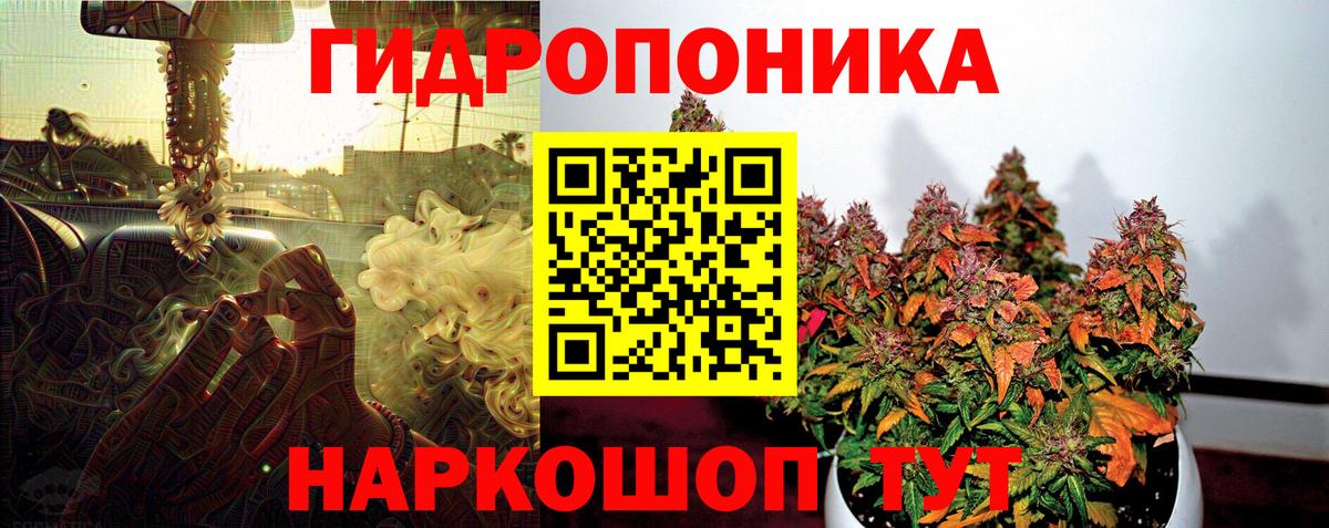 Кашира  Каннабис планчик  Шишки марихуана Ganja  Канабис VHQ  Вход с VPN 
